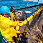 Industrial Photography,  Commercial Fisherman in the Gulf